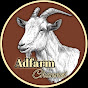 AdFarm Channel 