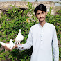 Shoaib Vlogs 