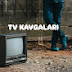 TV Kavgaları