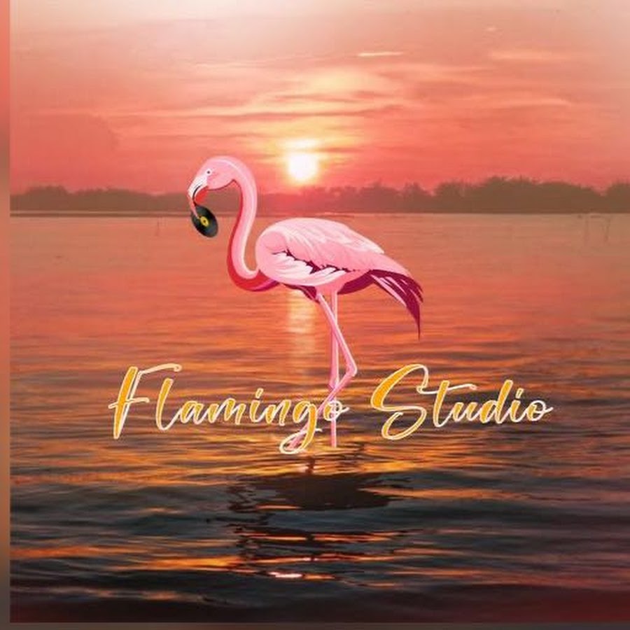 Flamingo Studio - YouTube Flamingo Studio