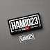 logo hamid23