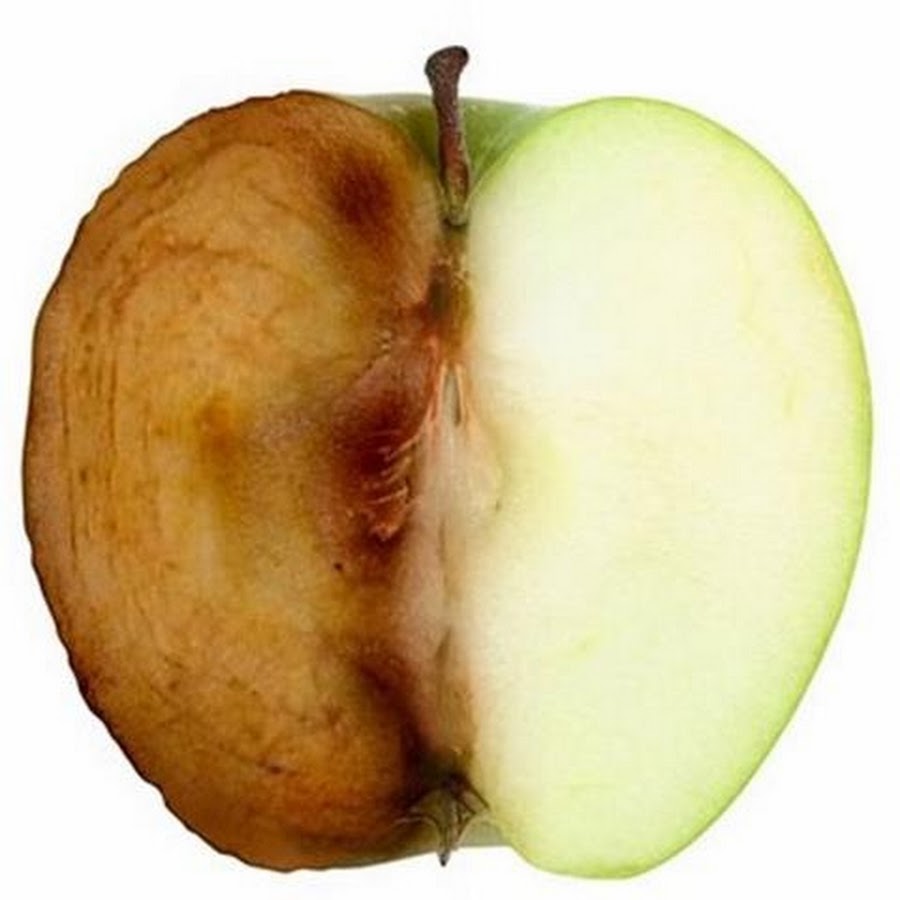 Яблоко в разрезе. Окисление яблока. Разрезанное яблоко. The apple am little