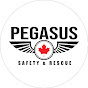 PEGASUS