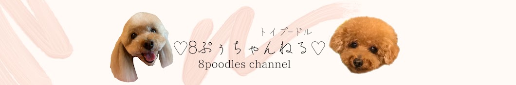 トイプードル♡8ぷぅちゃんねる♡