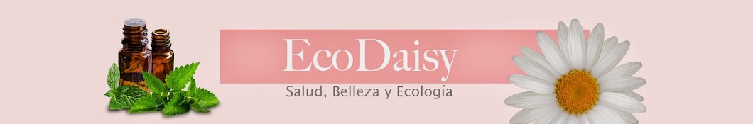 EcoDaisy Banner