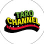 Taro channel