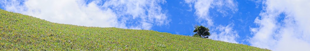 のんちの花とか登山とか農作業とか