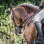 Karen Badrick equestrian
