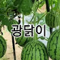 광닭이