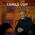 Cemîlê Usiv - Topic