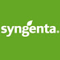 Syngenta prosto z pola