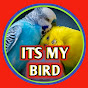 Its My Birds