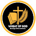 Wheat of God