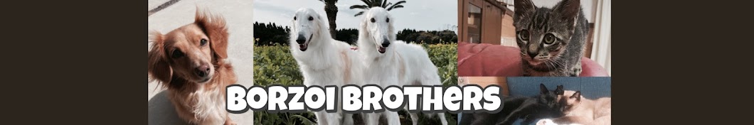 borzoi brothers ChonNeta