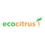 Cooperativa ECOCITRUS