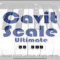 Cavit Scale