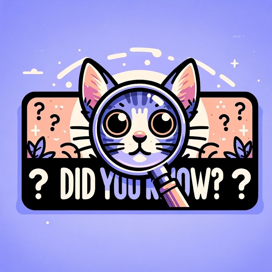 Meow, Did you know? 