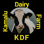 Kamalu dairy farm