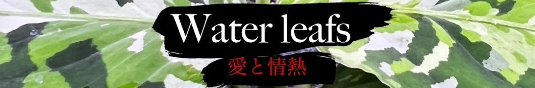 water leafs