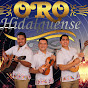 TRIO ORO HIDALGUENSE OFICIAL