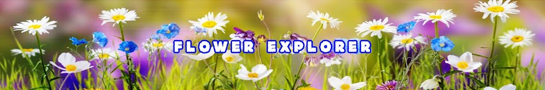 Flower Explorer