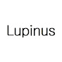 Lupinus