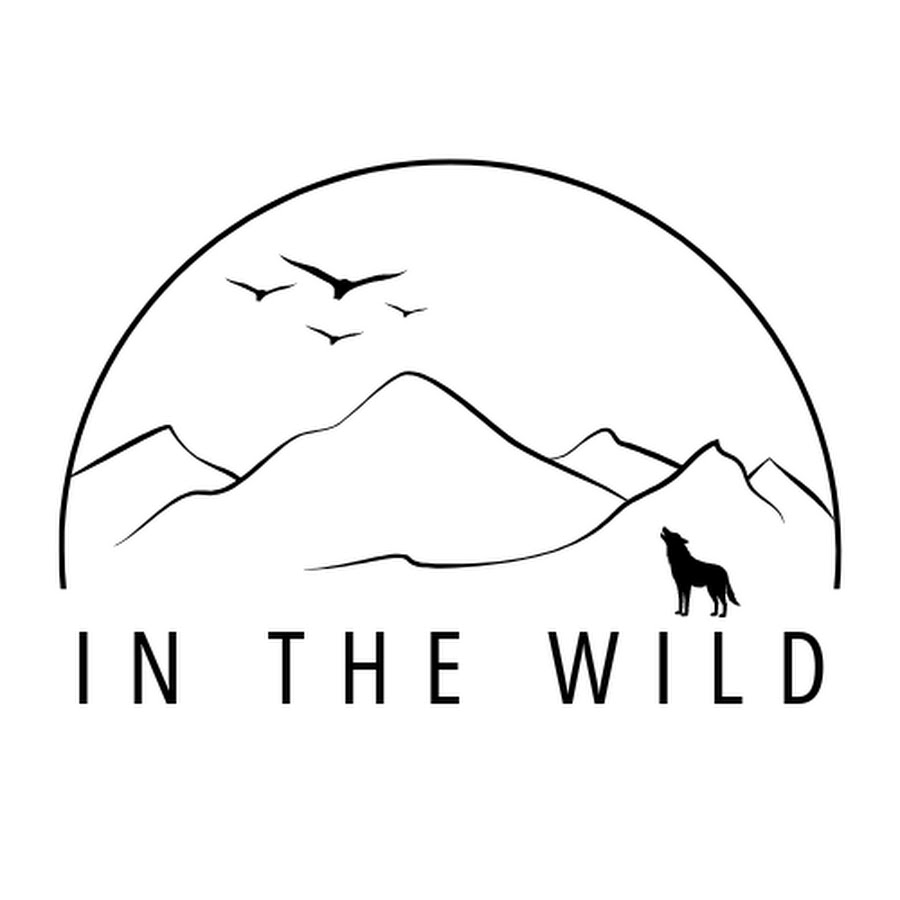 IN THE WILD - YouTube