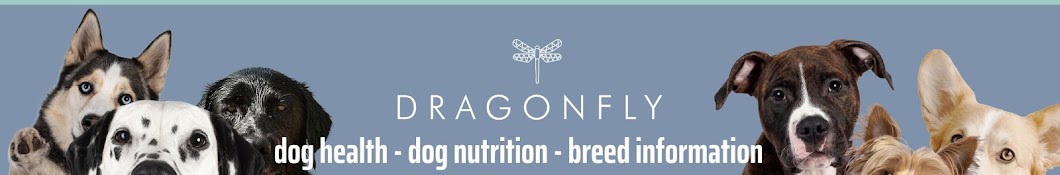 Dragonfly Dog - Health, Nutrition & Breeds