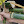 powerm1997 avatar