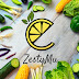 logo ZestyMu