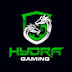 Hydra gaming 