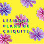 Les bons plans de Chiquite