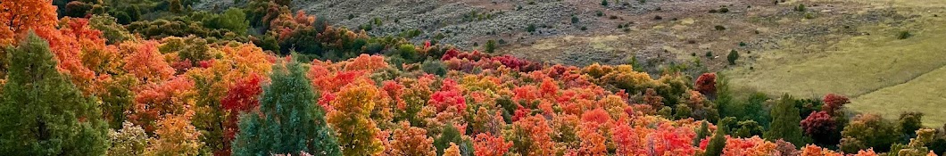 MOUNTAIN MAPLE RANCH 🍁