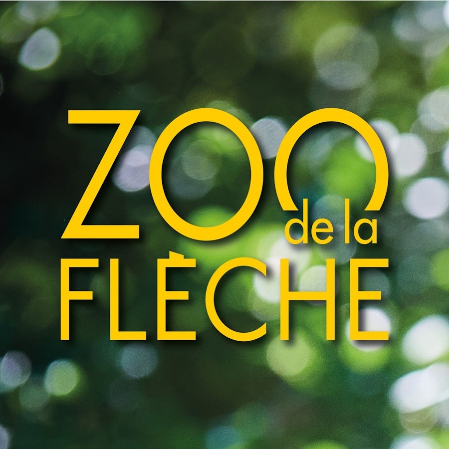 vidéo zoo de la flèche