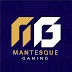 Mantesque Gaming