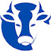 Dairysense Farm Technologies