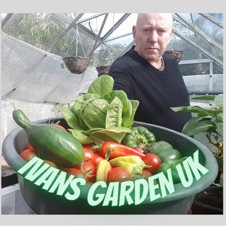  Ivans Gardening Allotment UK 
