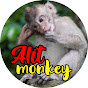 Alit Monkey