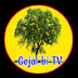 Gojol di tv