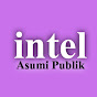 intel_Asumsi Publik