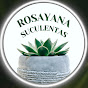 Rosayana Suculentas e Cactos