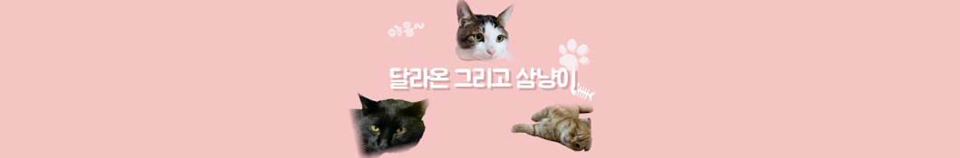 달_라온 그리고 삼냥이