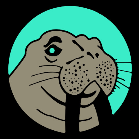 influencer profile picture