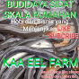 Kaa eel farm