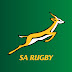 logo Official Springbok YouTube