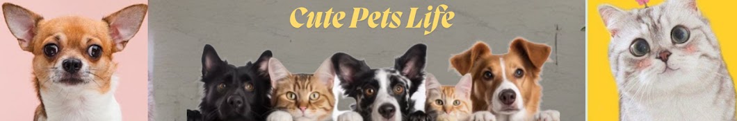 Cute Pets Life