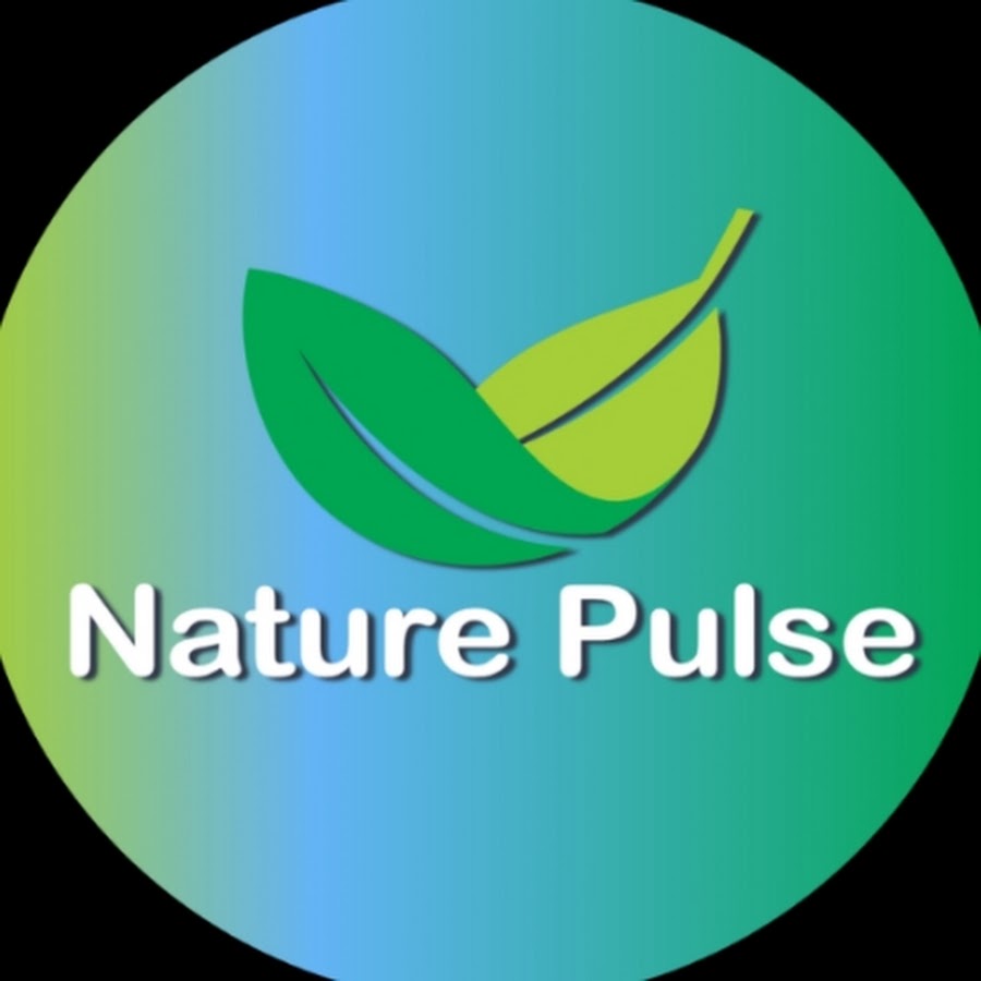 Nature Pulse - YouTube Nature Pulse