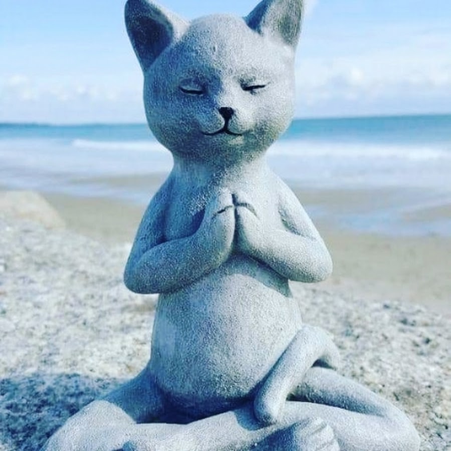 Котик медитация