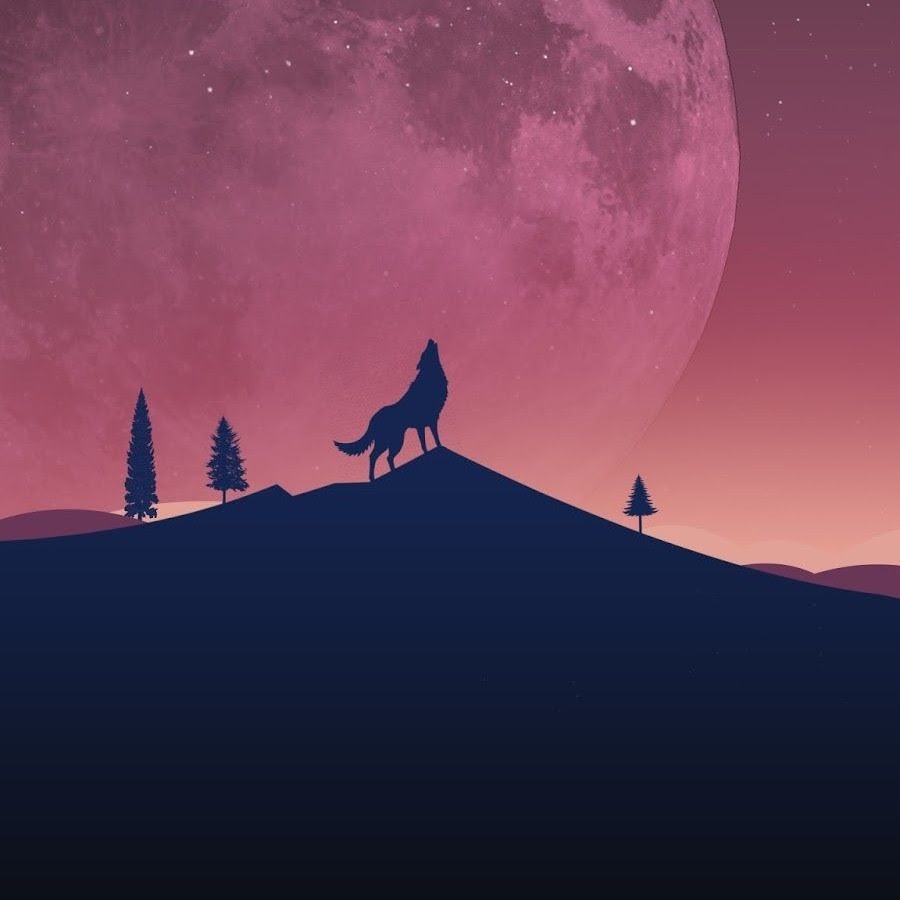 Most soul. Wallpapers 240x320 волк. Alone Wolf Instagram.