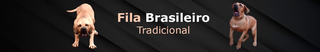 Fila Brasileiro Tradicional